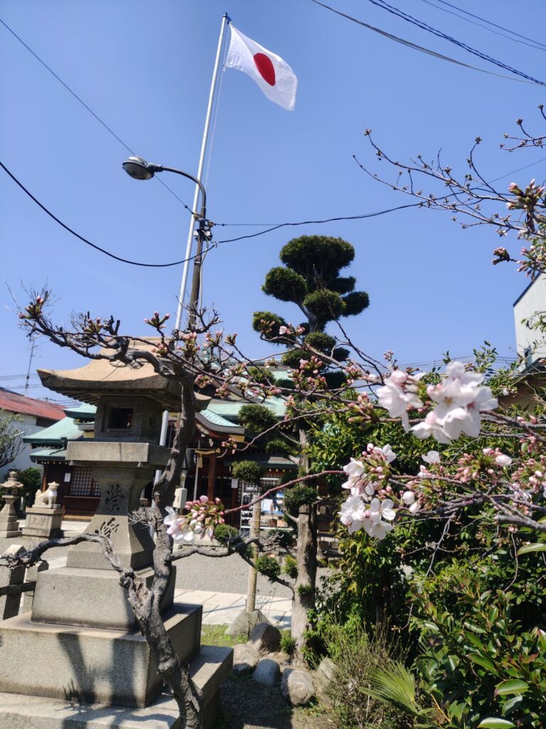 駒林神社 境内 桜 2026年春2